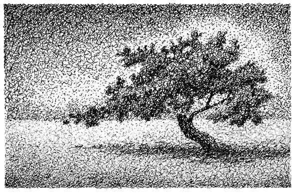 Baum--Scribble