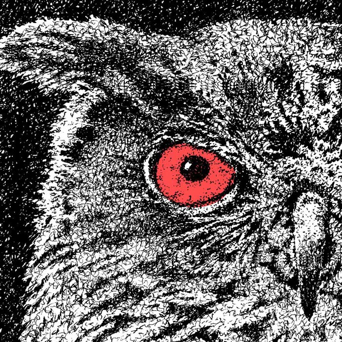 Headerbild-Uhu Headerbild-Uhu